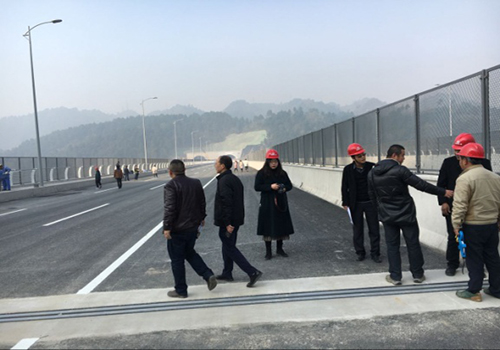 貴陽市黔春大道道路工程黔靈湖特大橋成橋線形通過驗收